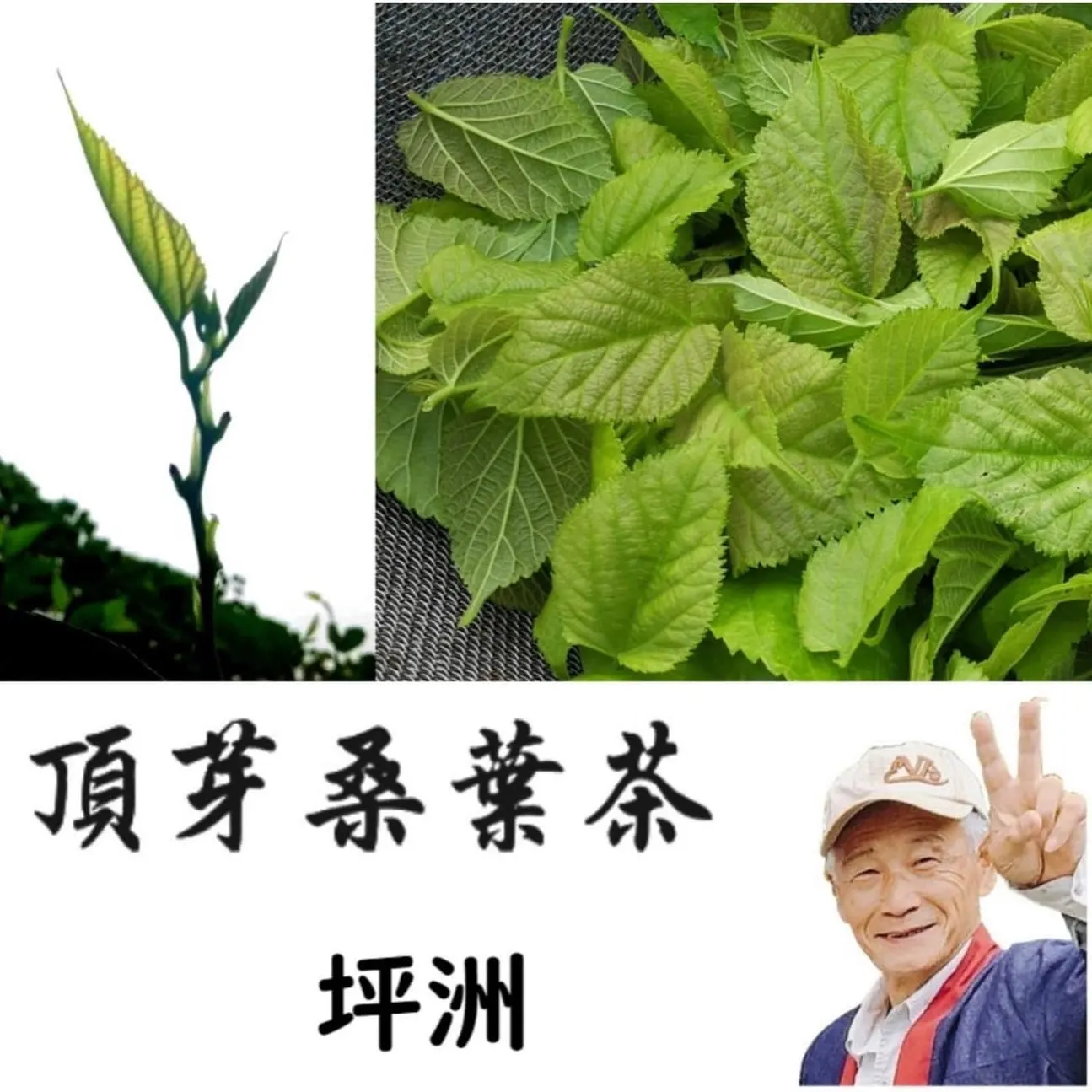 烘焙咖啡+蓝染工作坊